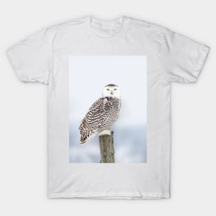 Snowy Owl T-Shirt